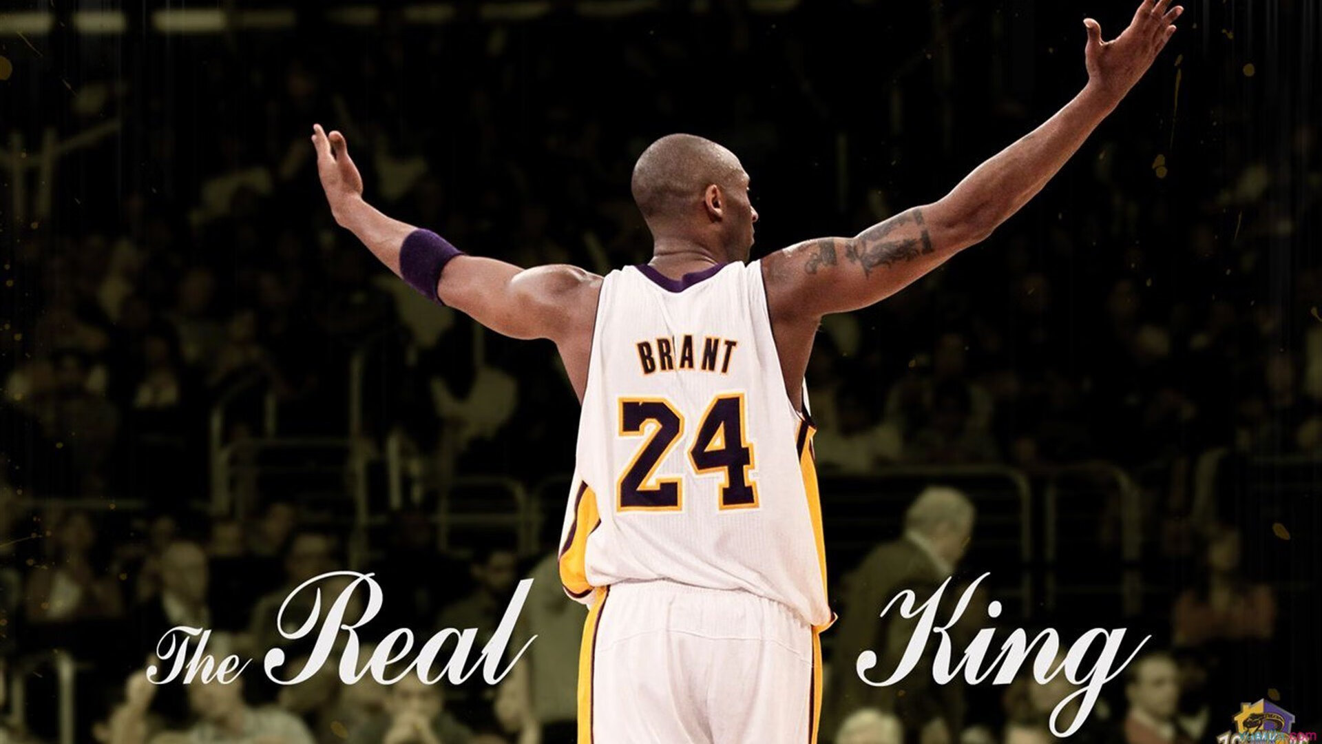 全国篮球联赛：新赛季火热开启，全国篮球赛事